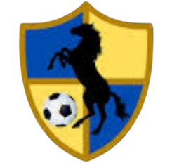 競技聯(lián)隊(duì)